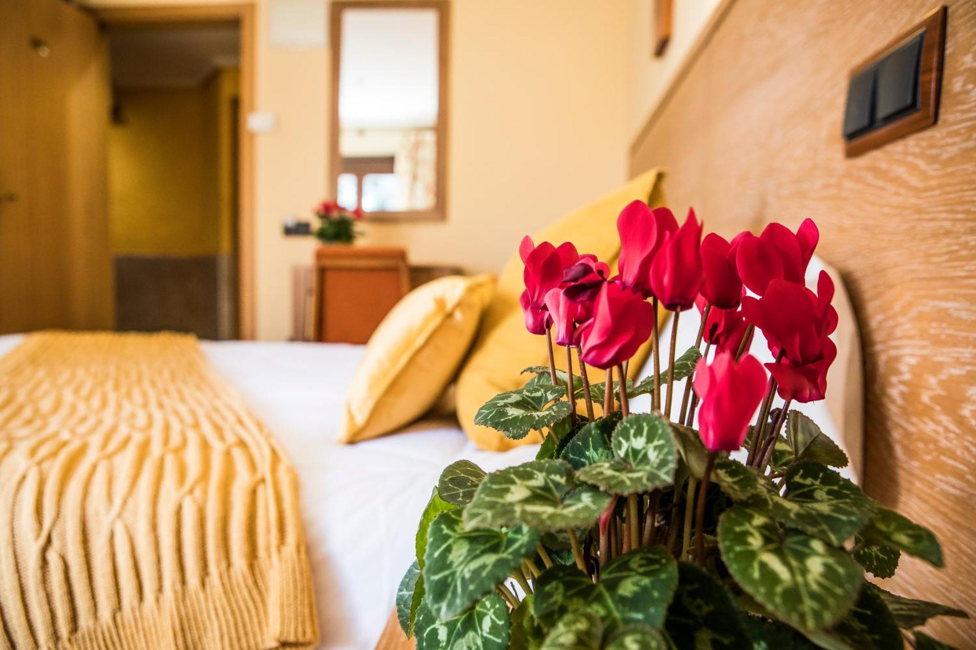 San Agustín de Guadalix Hotel Casa Jose Diaz מראה חיצוני תמונה